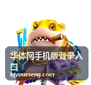 华体网手机版登录入口竖屏自适应登录面板示意