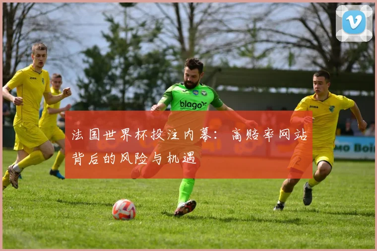 法国世界杯投注内幕：高赔率网站背后的风险与机遇