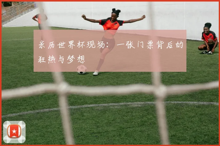 亲历世界杯现场：一张门票背后的狂热与梦想