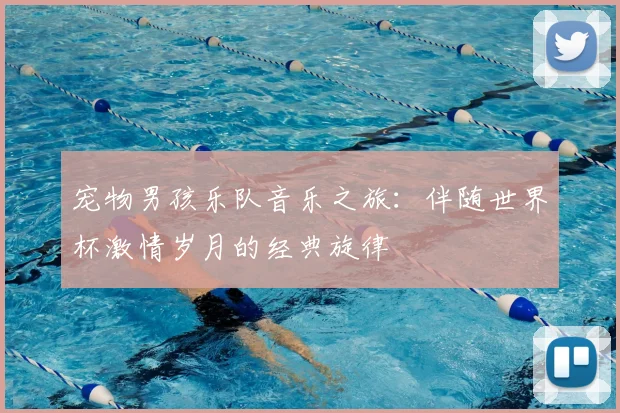 宠物男孩乐队音乐之旅：伴随世界杯激情岁月的经典旋律