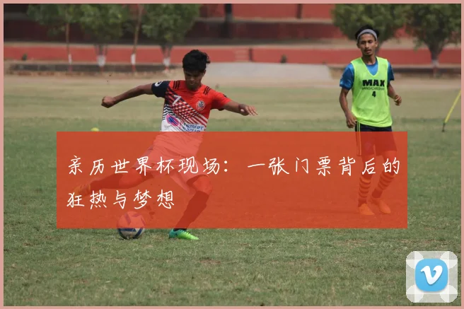 亲历世界杯现场：一张门票背后的狂热与梦想