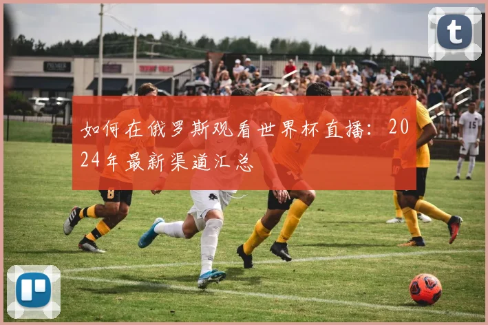 如何在俄罗斯观看世界杯直播：2024年最新渠道汇总