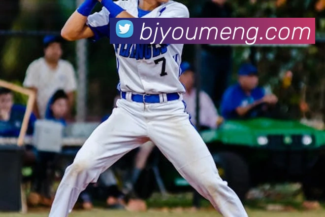 开云手机入口官方网站APP 封面图